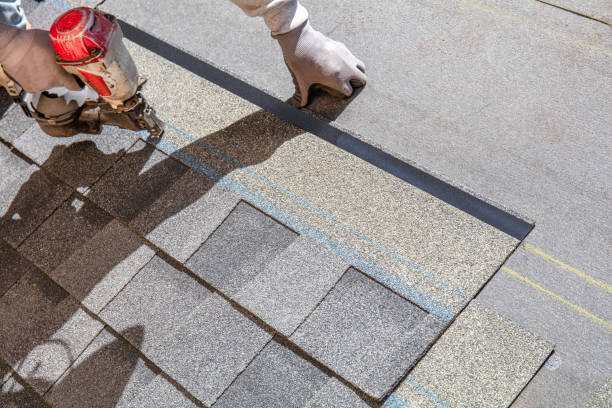 Best Roof Gutter Cleaning  in South Chicago Heights, IL
