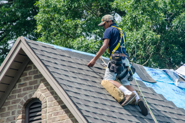 Reliable South Chicago Heights, IL Roofing Contractor Solutions